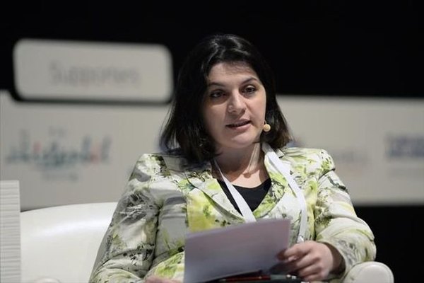 Valişvili: İqtisadiyyatımızın inkişafı TANAP və TAP-dan asılıdır