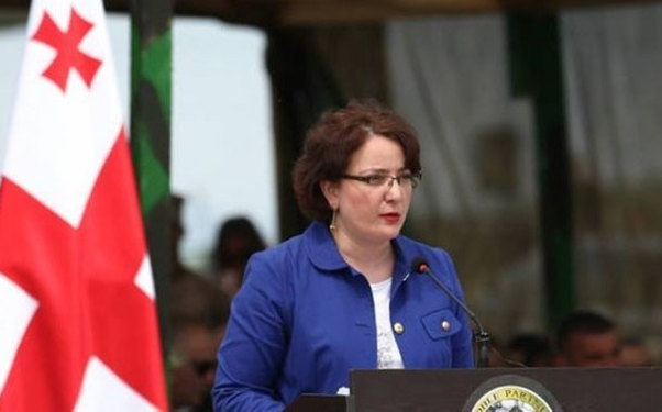 Gürcüstan müdafiə naziri Azərbaycana səfərə gəlib