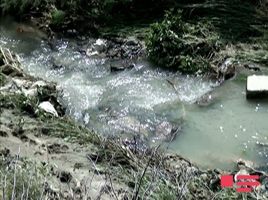 Güclü yağış Mingəçevirdə fəsadlar törədib