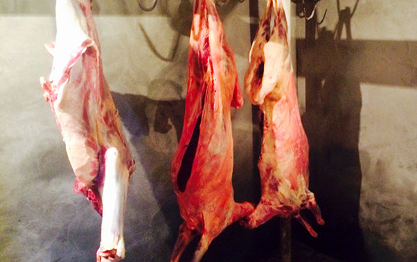 Ağcabədidə yararsız ətlər aşkar edilib