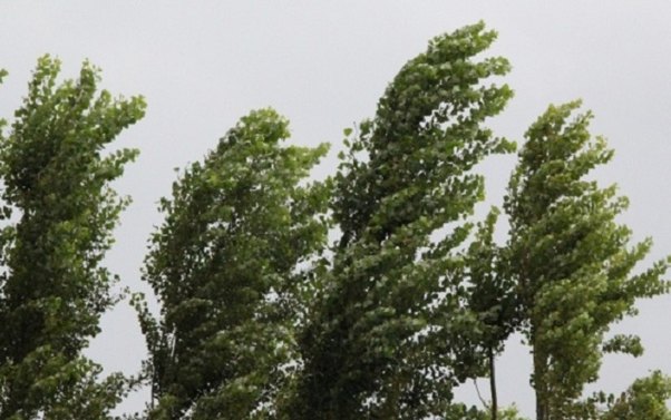 Bu gün hava küləkli olacaq