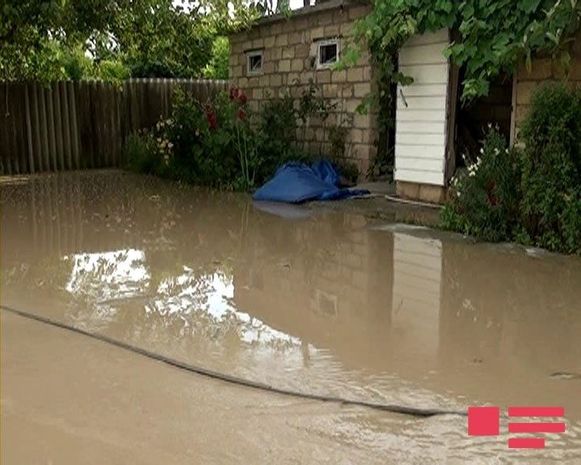 İsmayıllıda sel suları təsərrüfata ciddi ziyan vurub