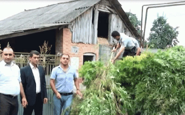 Evinin həyətində külli miqdarda narkotik vasitə tapıldı — FOTOLAR