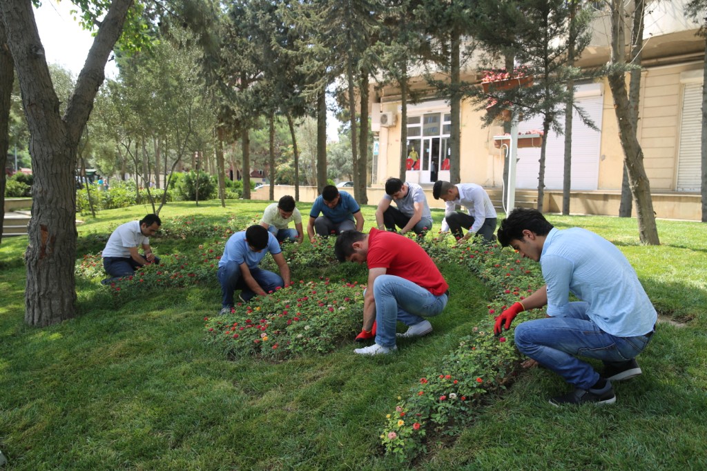 Binəqədi rayonunda ümumrayon iməcliyi keçirildi