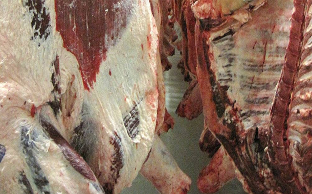 İsmayıllı sakini 300 kq at əti ilə tutuldu