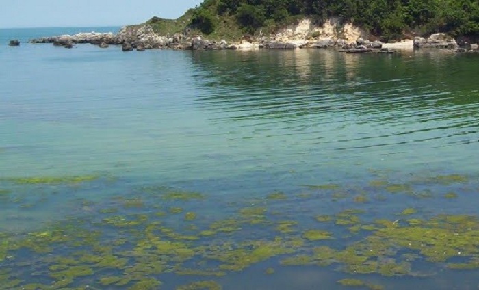 Nazirlikdən Sarısu haqda - Açıqlama