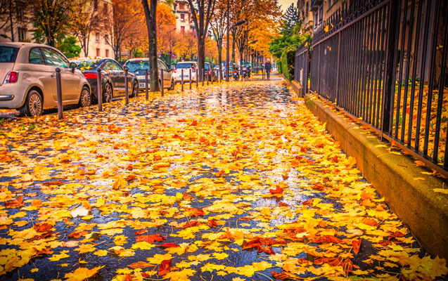 Azərbaycana payızın gələcəyi dəqiq vaxt - Açıqlandı