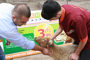 “Rahat” marketlər şəbəkəsi Qurban bayramı ilə əlaqədar endirimlər aksiyasına başlayıb