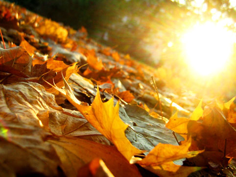 Dərs ilinin ilk günündən hava soyuyacaq