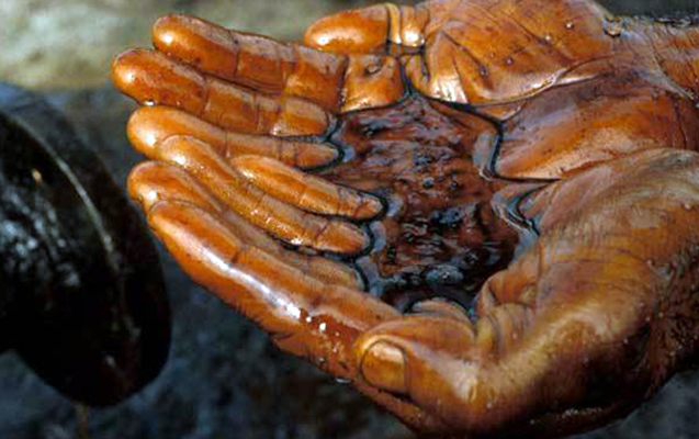 Neft növbəti illərdə 30 dollara satıla bilər