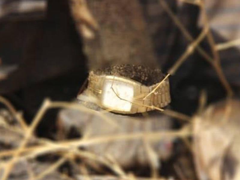 Adam çoxdan ölüb, amma qolundakı saat hələ də işləyir - FOTO