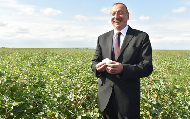 İlham Əliyevdən pambıqçılığa dəstək