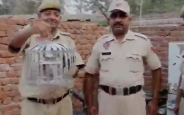 Sərhədçilər poçt göyərçini “saxladılar” - Baş nazirə məktub