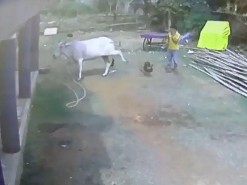 Uşağı təpiklə 3-4 metr kənara tulladı - VİDEO