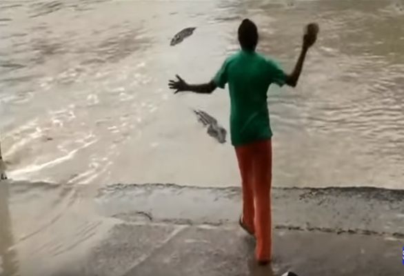 Avstraliyada qadın timsahı ayaqqabısı ilə qovdu – VİDEO