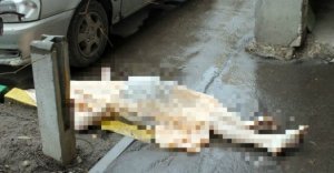 Atası Azərbaycanda ölən qadın intihar etdi: