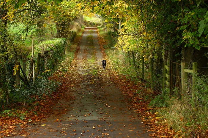 Bakıda 28 dərəcə isti olacaq