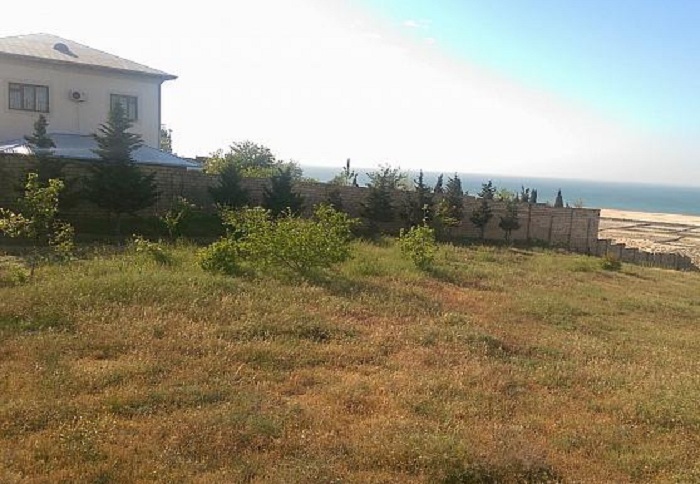 Zəbt edilən torpaqlar dövlətə qaytarılır - 18 min hektar