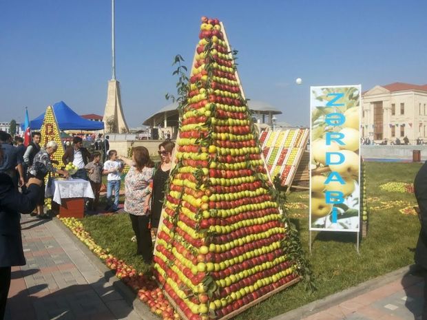 Qubada “Alma bayramı” keçirildi – FOTOREPORTAJ