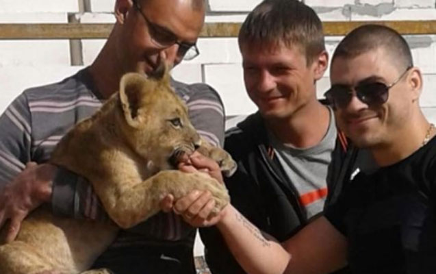 Evində şir saxlayan azərbaycanlı ailədən polisə şikayət - Fotolar