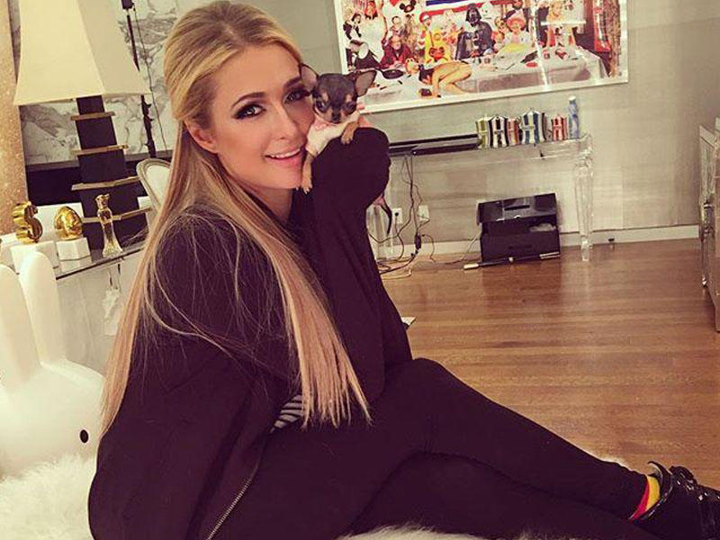 Milyarder qızının 8 min dollarlıq iti - FOTOLAR