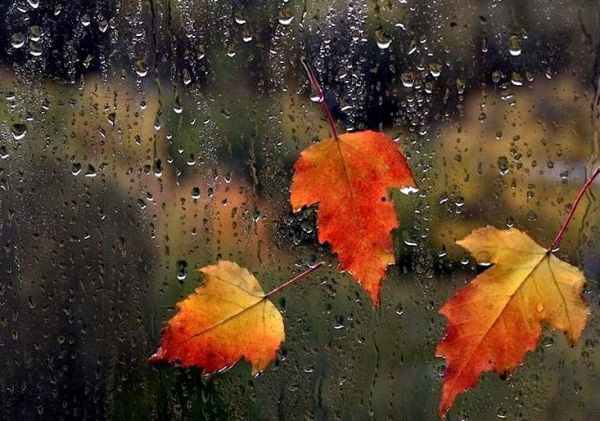 Yağış, külək... - Sabaha olan hava proqnozu