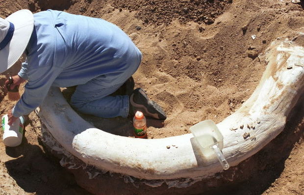 Füzulidə tarixi tapıntı