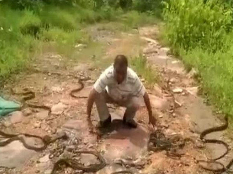 285 ilanı eyni vaxtda sərbəst buraxdı - VİDEO