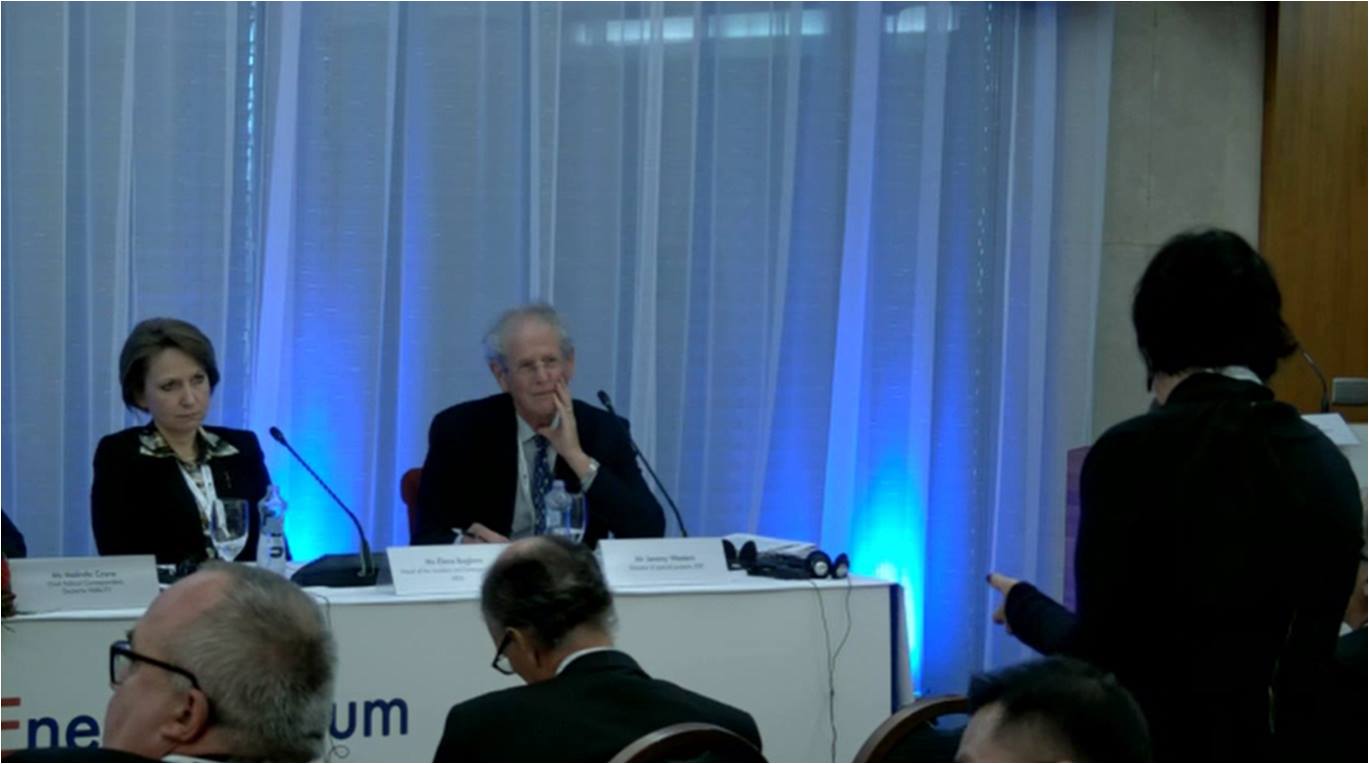 “STOP METSAMOR” Koalisiyasının koordinatoru 11-ci Avropa Nüvə Enerjisi Forumunda iştirak edib