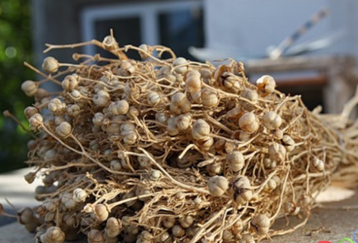 Evdə üzərlik yandırmağın FAYDALARI