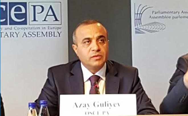 Azay Quliyev Monteneqro seçkiləri ilə bağlı ATƏT PA-nın rəsmi rəyini açıqladı