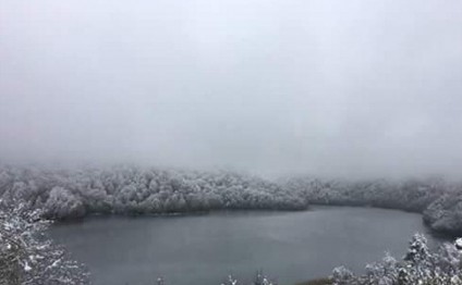 Göygölə 25-30 santimetr qar yağdı: ağaclar qırıldı - FOTOLAR