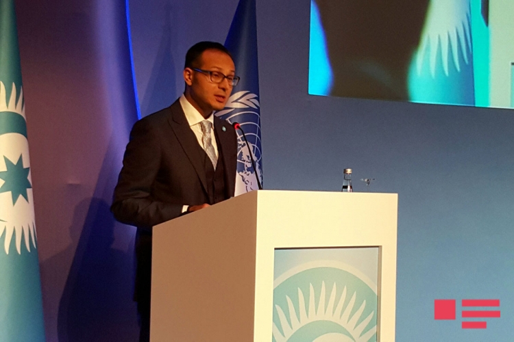 İstanbulda radikallıqla mübarizədə gənclərin rolu mövzusunda beynəlxalq konfrans keçirilir