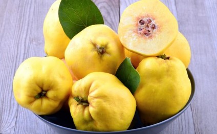 Gənclik mənbəyi və sevgi rəmzi sayılan heyvanın faydalı xüsuiyyətləri