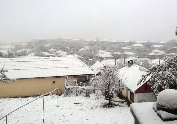 Cənub bölgəsinə qar yağır – FOTOLAR