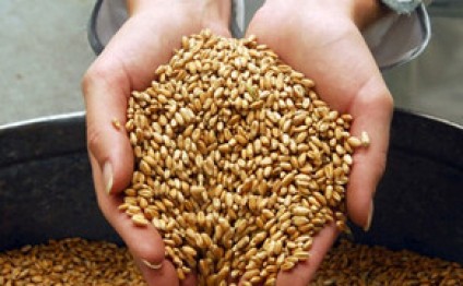 Azərbaycan Qazaxıstandan 1 mln. tondan artıq taxıl alacaq