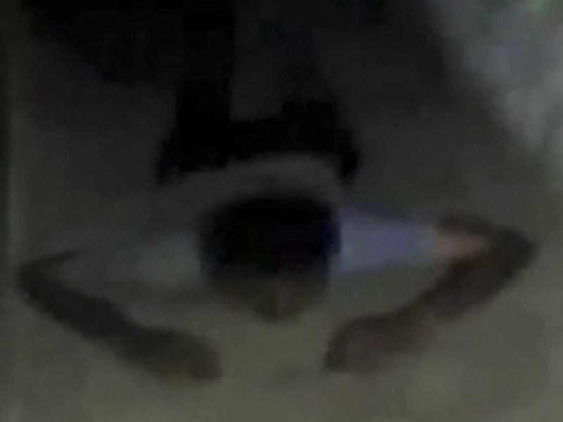 Mağarada gizlənən PKK terrorçusu belə tutuldu - Əməliyyatın VİDEOSU