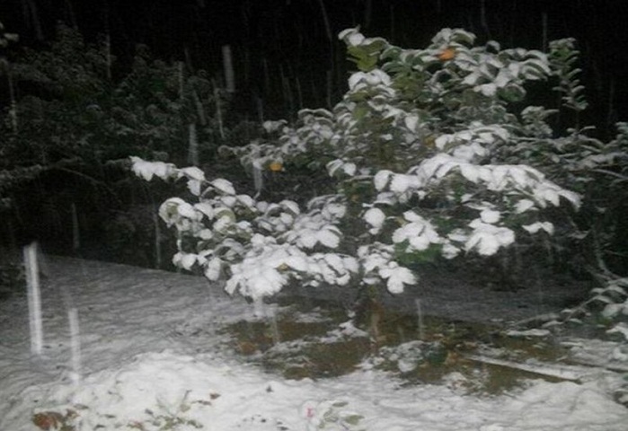 Naxçıvana da qar yağır - FOTO