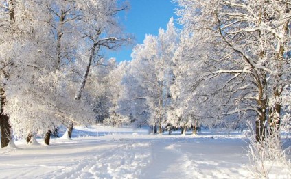 Qar Yardımlıda 30 kəndi işıqsız qoydu