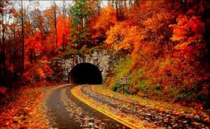 Arabir yağış, mülayim külək - Sabahın havası