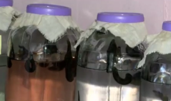 Zəlini zəlil günə qoyublar - Alimlər etiraz etdi - VİDEO