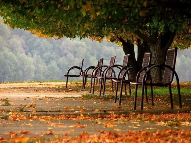 İstirahət gününə olan hava proqnozu