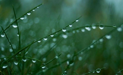 XƏBƏRDARLIQ: Noyabrın 1-dən 3-dək hava şəraiti qeyri-sabit keçəcək