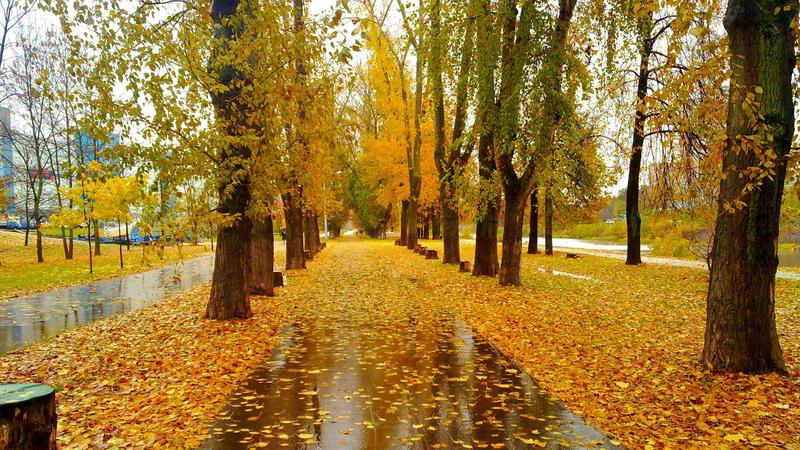 Hava yağmursuz olacaq