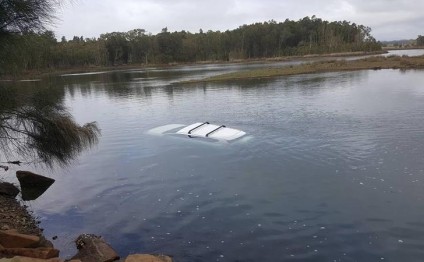Hörümçəkdən qorxub avtomobili göldə batırdı - FOTO