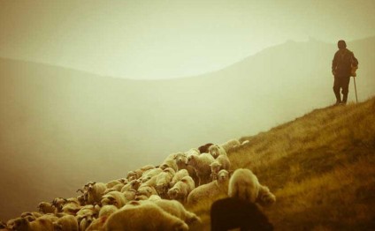 Ermənilər cəbhə bölgəsində çobanları atəşə tutub