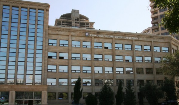 Restoranlarda ayı əti fırıldağı - Rəsmi açıqlama