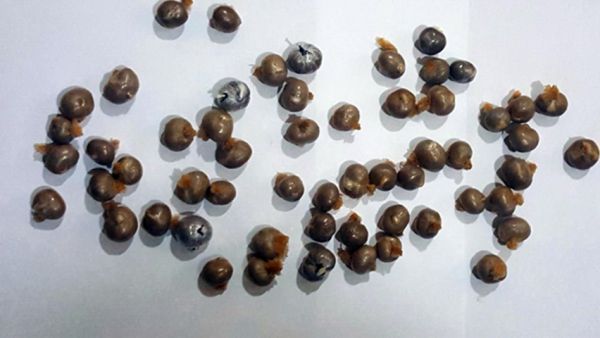 Daxili orqanlarından heroin çıxdı - 57 büküm...