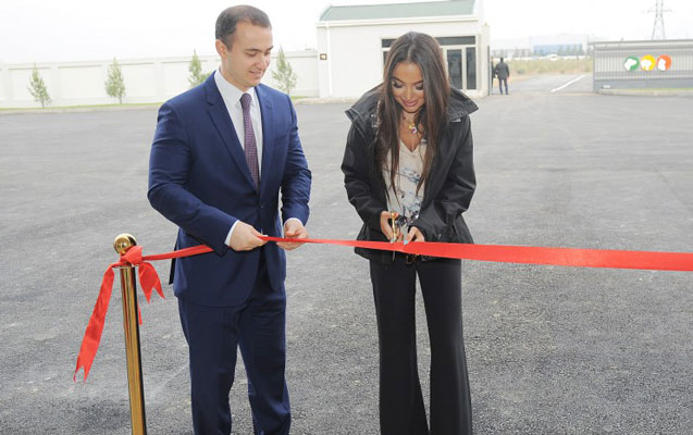 Bakıda sahibsiz heyvanlar üçün qayğı mərkəzi açılıb – FOTOLAR