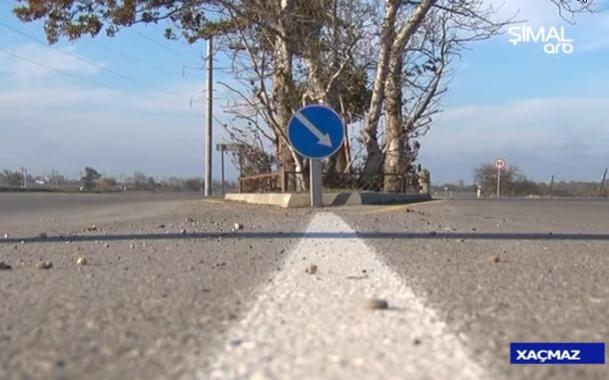 Xaçmazın sirli ağacı — 